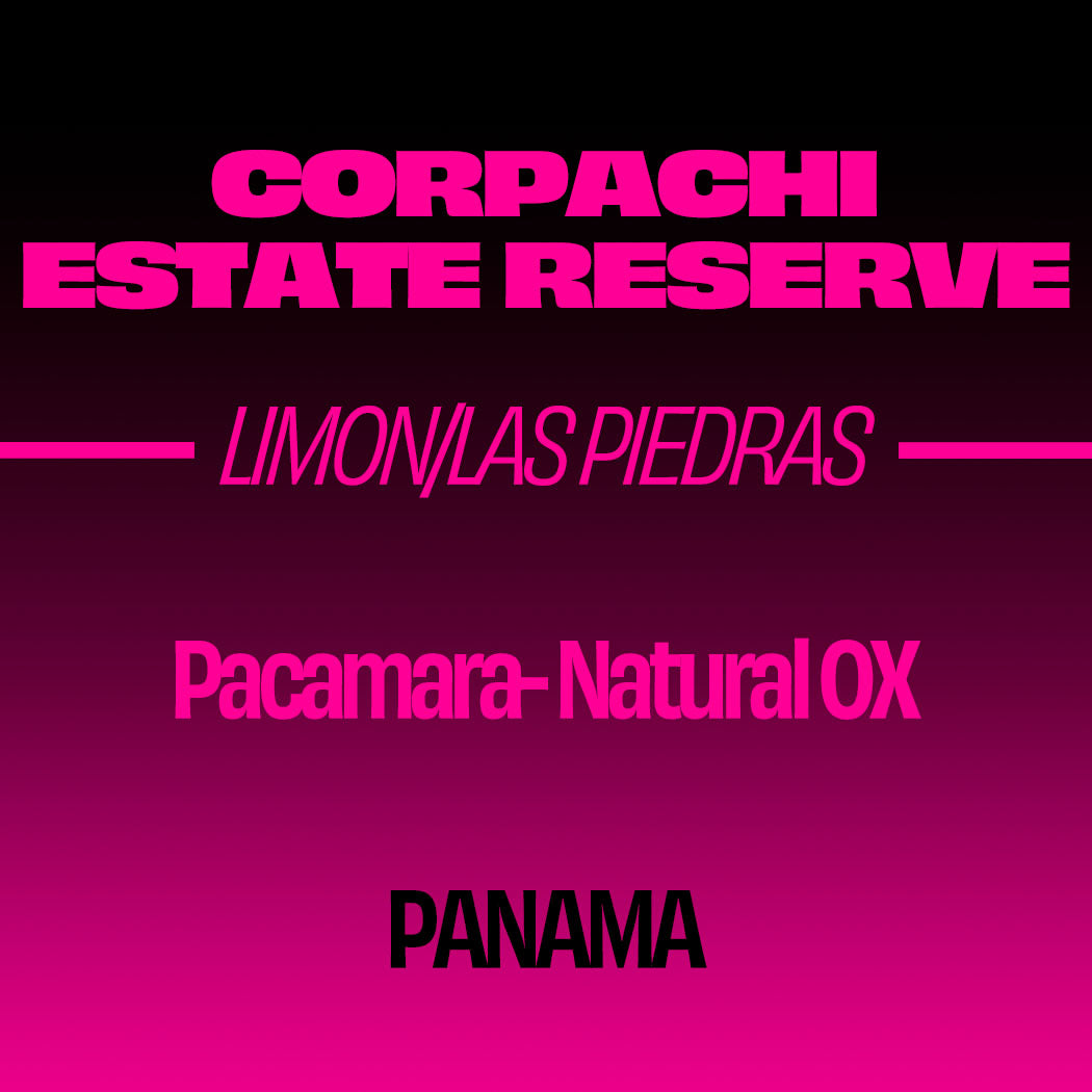 Corpachi Estate Pacamara Natural - PANAMA