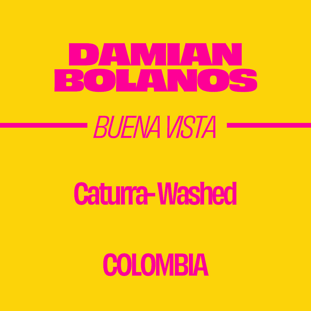 DAMIAN BOLAÑOS - WASHED CATURRA - Colombia