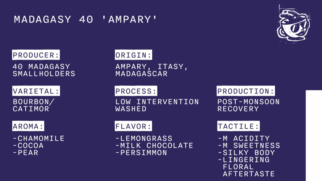 Malagasy 40 Ampary - Madagascar - Bourbon/Catimor - L.I.Washed
