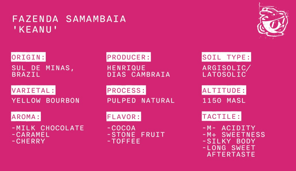 Fazenda Samambaia 'Keanu' - Brazil