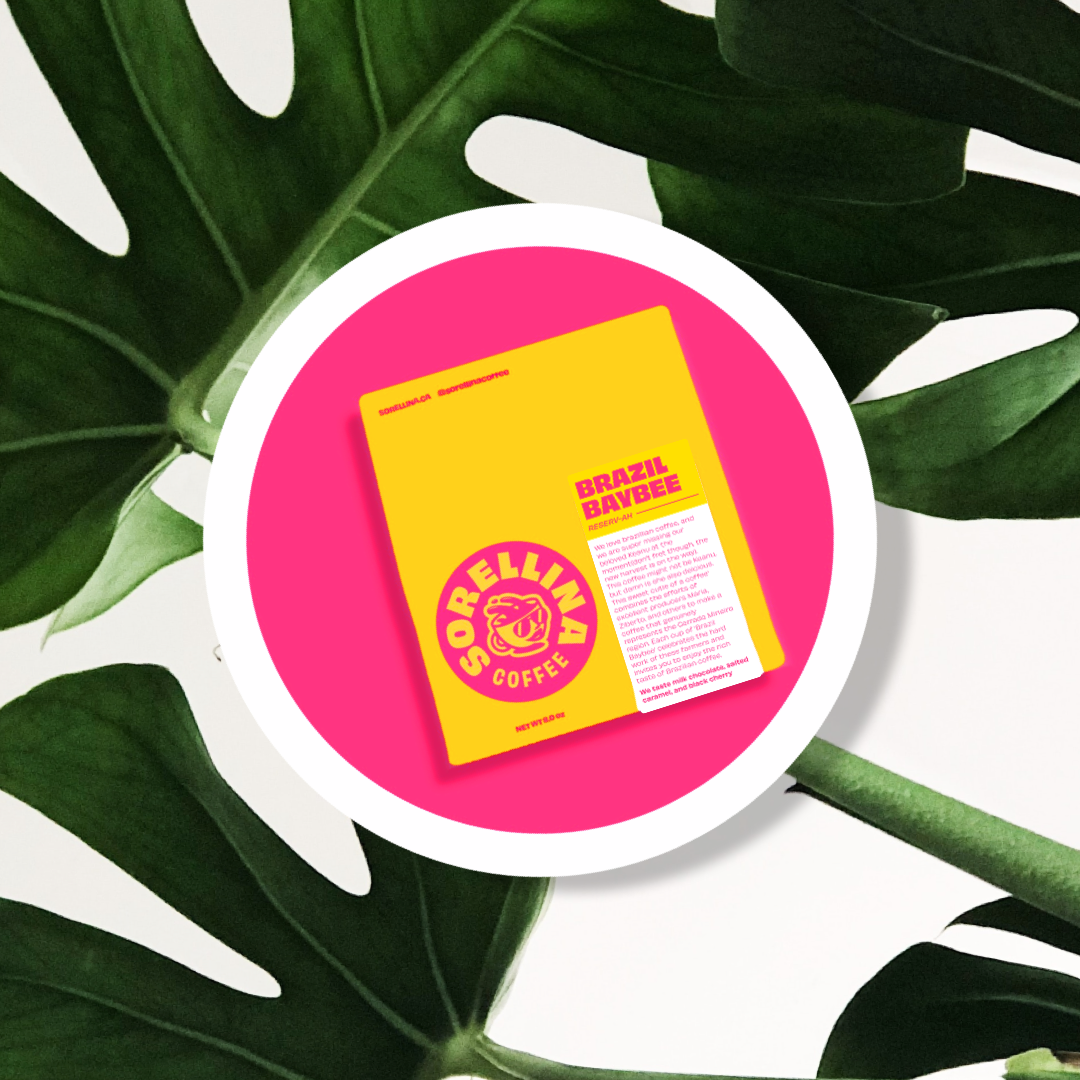 Brazil Baybee- Topazio, Pulped Natural, Brazil