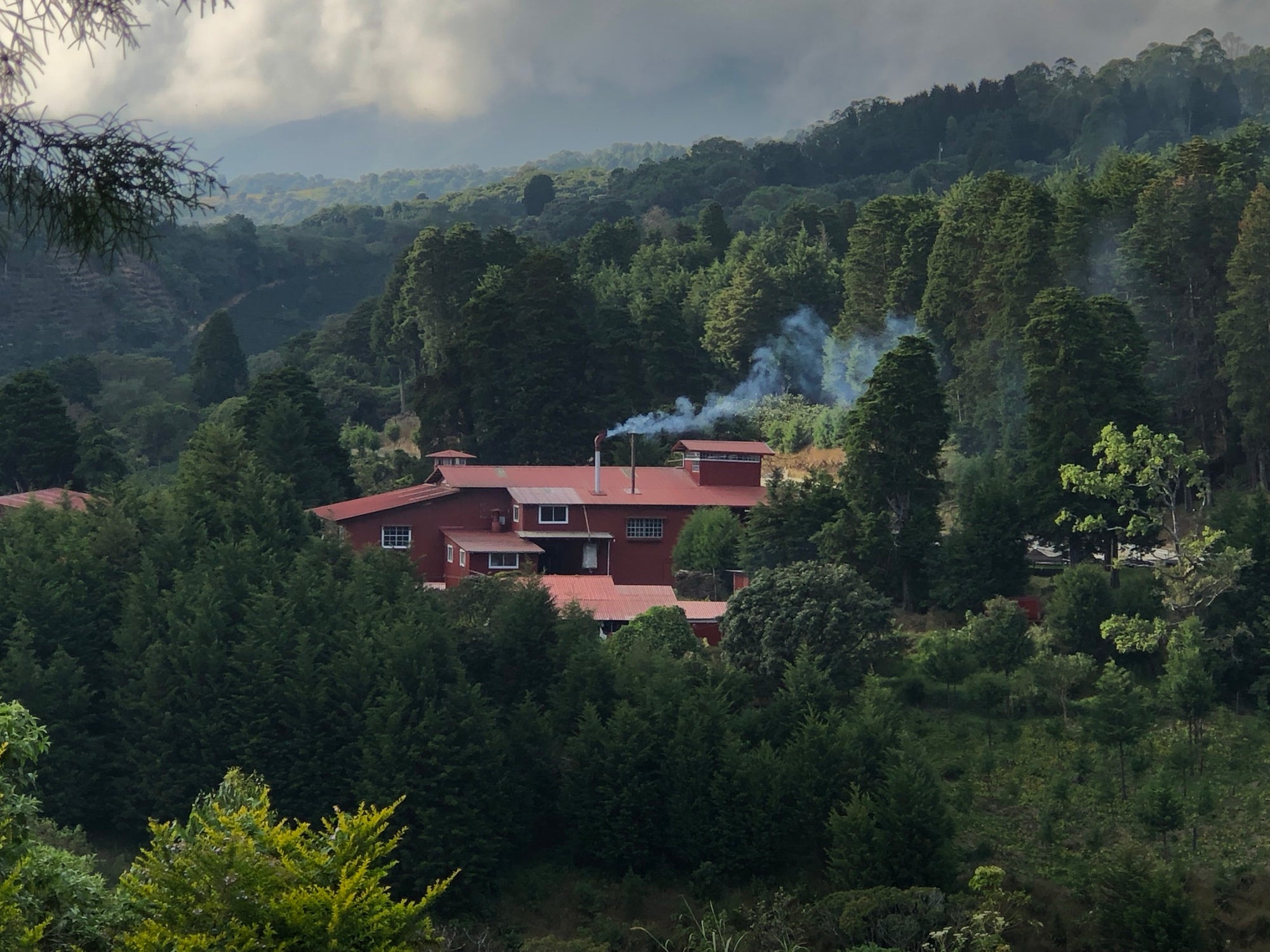 Volcan Azul - Washed Field Blend - Costa Rica