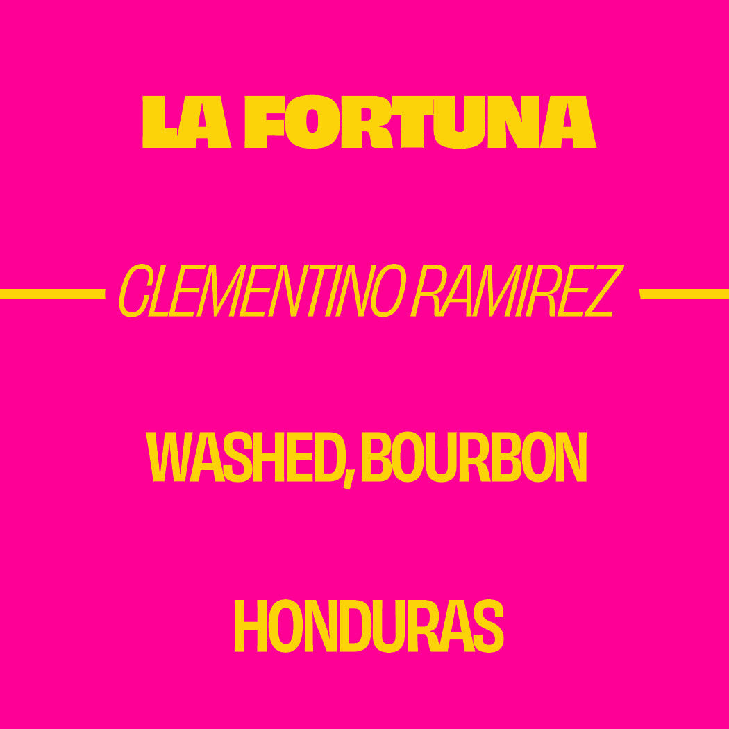 LA FORTUNA -  ANAEROBIC WASHED - Honduras