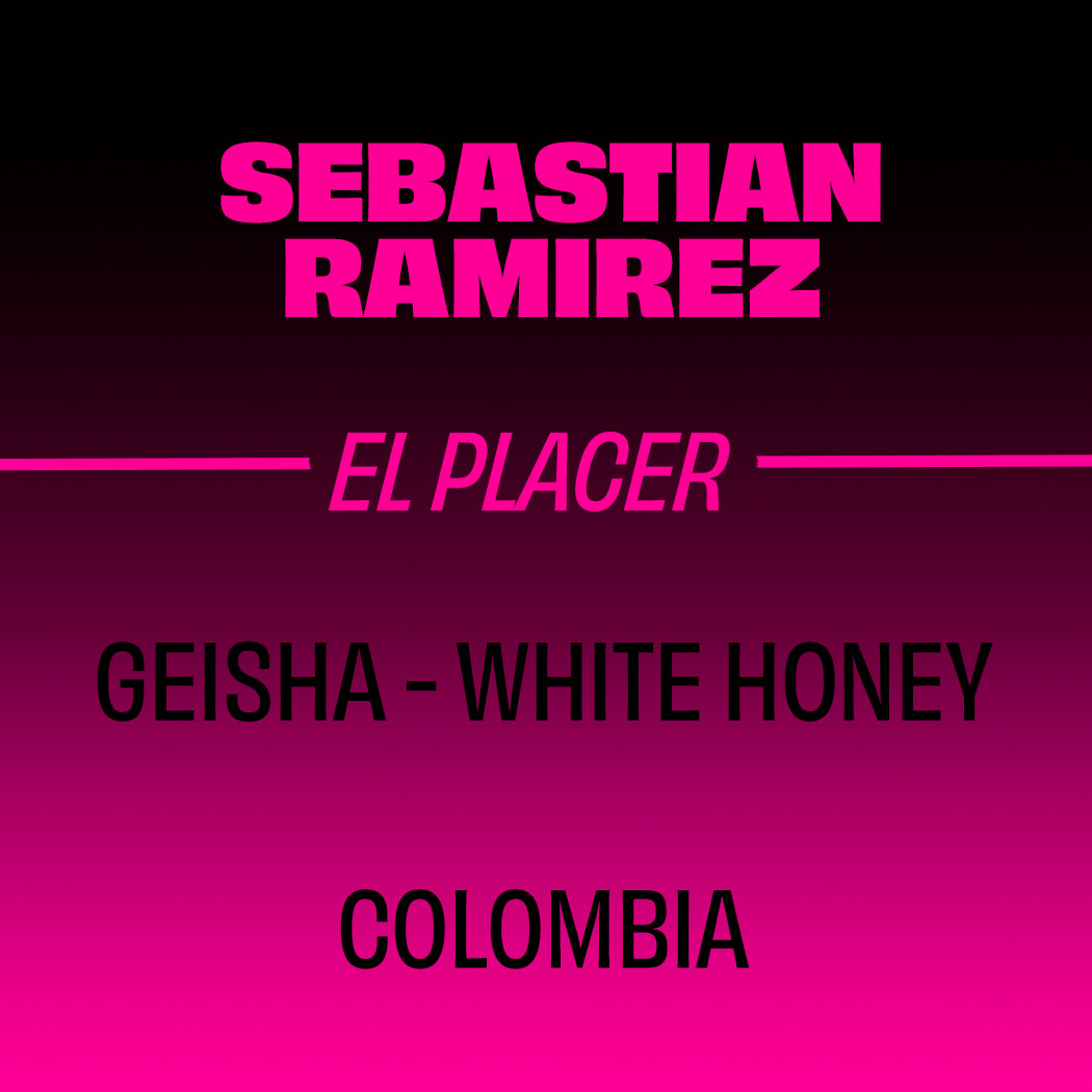 Sebastian Ramirez - White Honey Geisha - Colombia