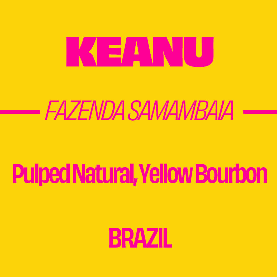 Keanu - Yellow Bourbon, Pulped Natural, Brazil